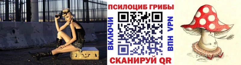 дарнет шоп  Яблоновский  MEGA вход  Псилоцибиновые грибы мухоморы 
