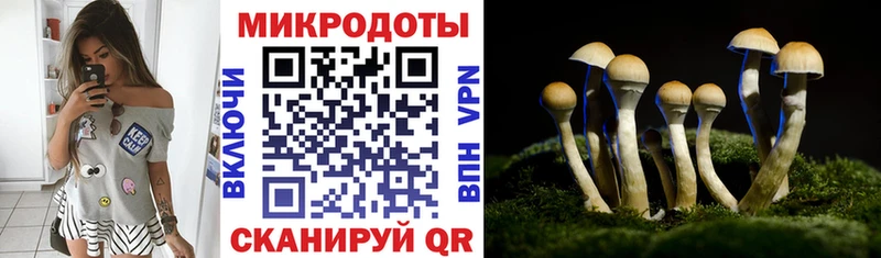 Псилоцибиновые грибы прущие грибы Яблоновский